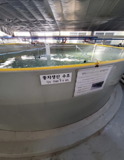 종자 생산 수조